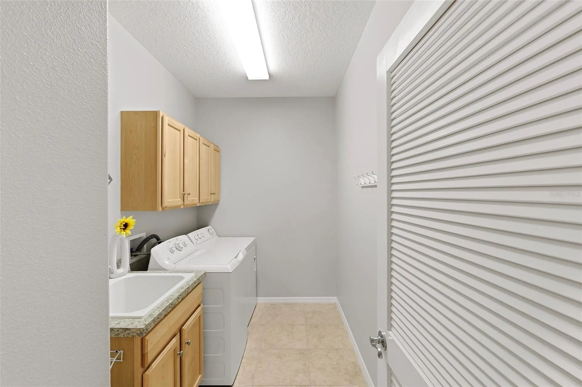 976 Shellbark Way The Villages FL 32162