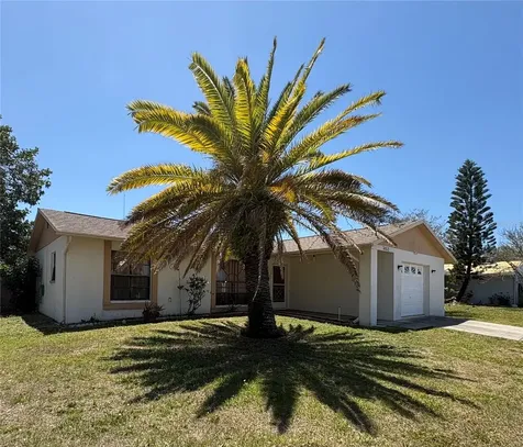 3052 Salton Street Holiday FL 34691
