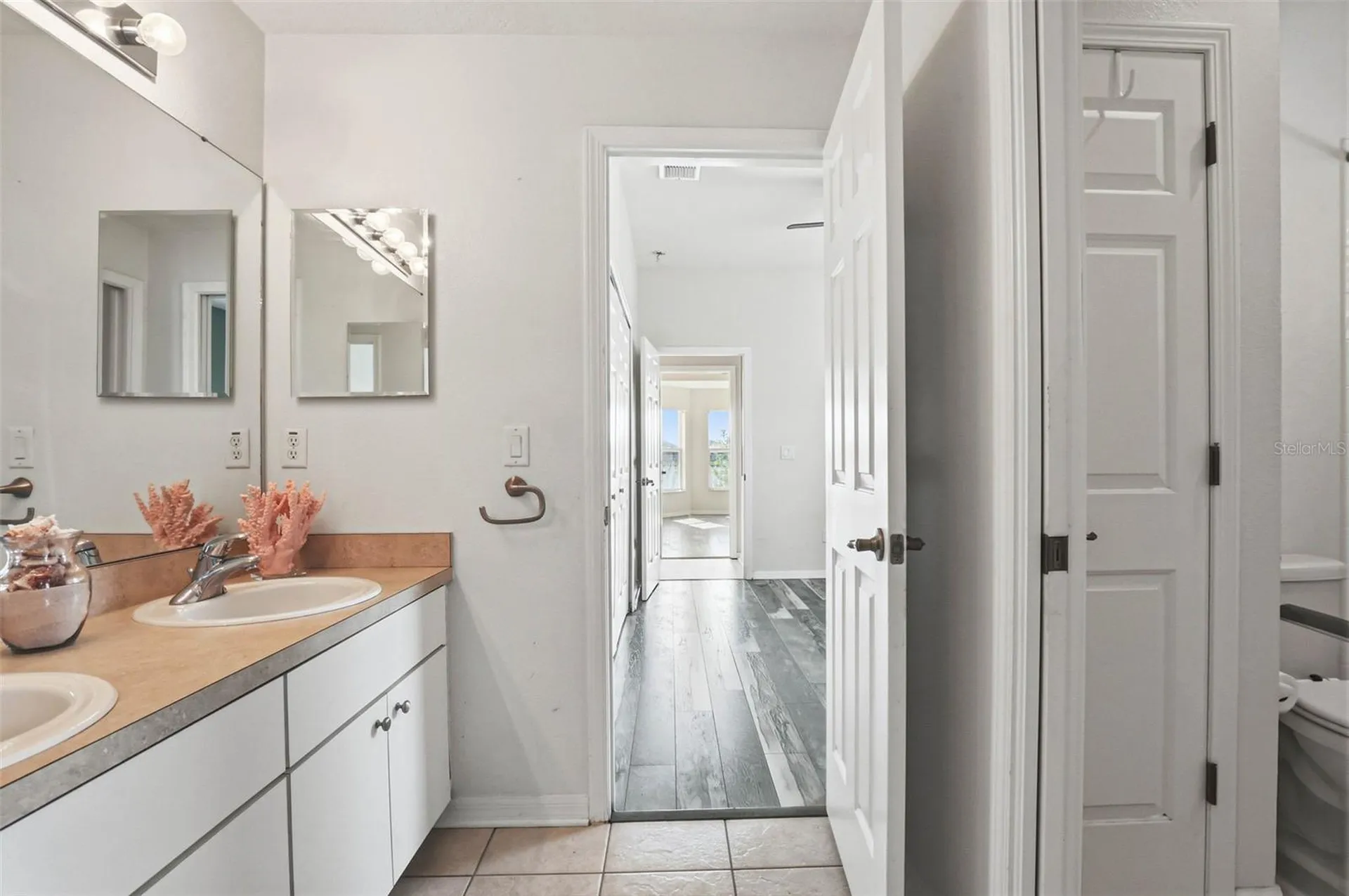 13706 Artesa Bell Drive Riverview FL 33579