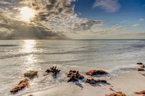 317 12th Avenue Indian Rocks Beach FL 33785