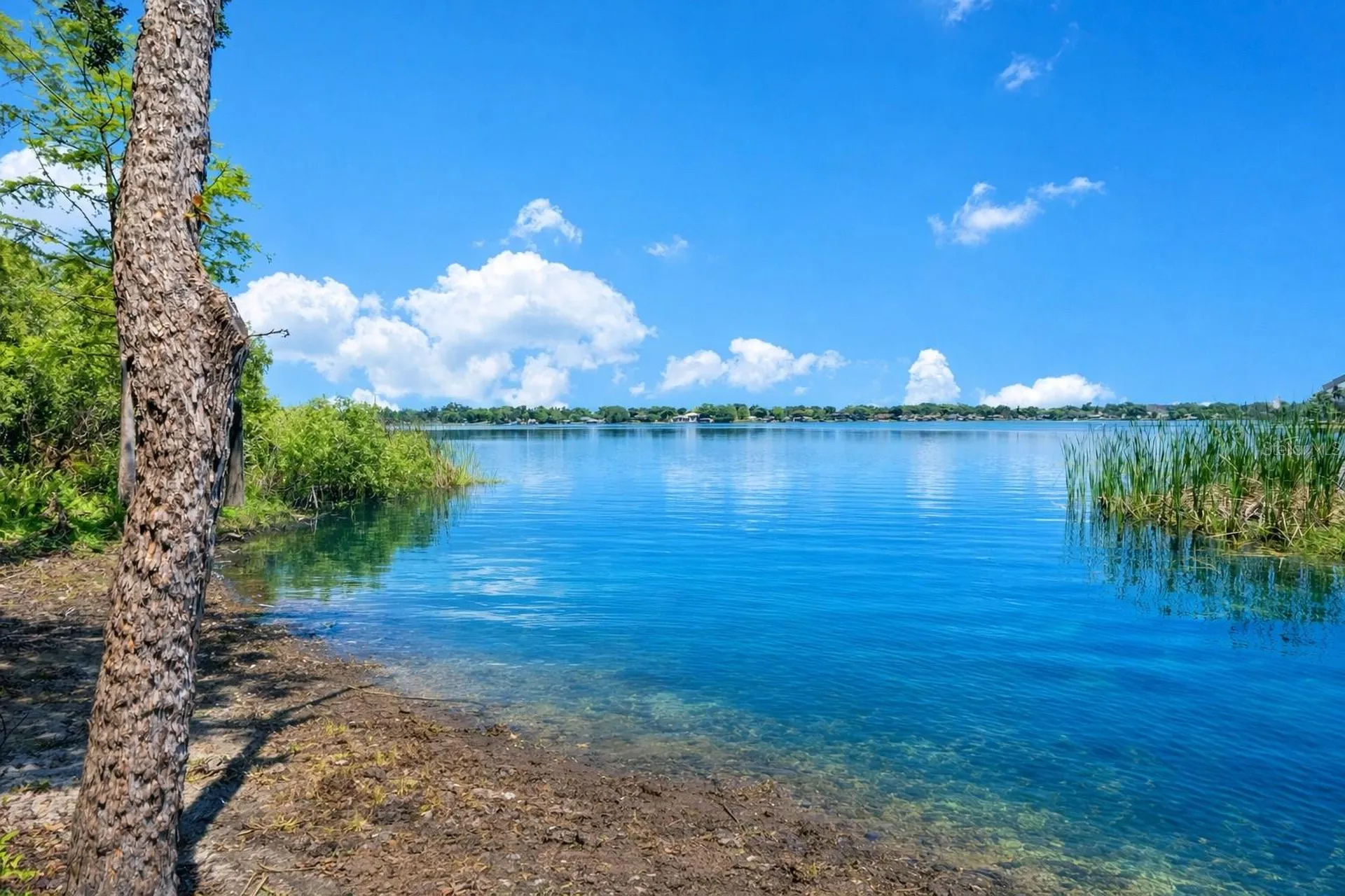 3501 S Westmoreland Drive Orlando FL 32805