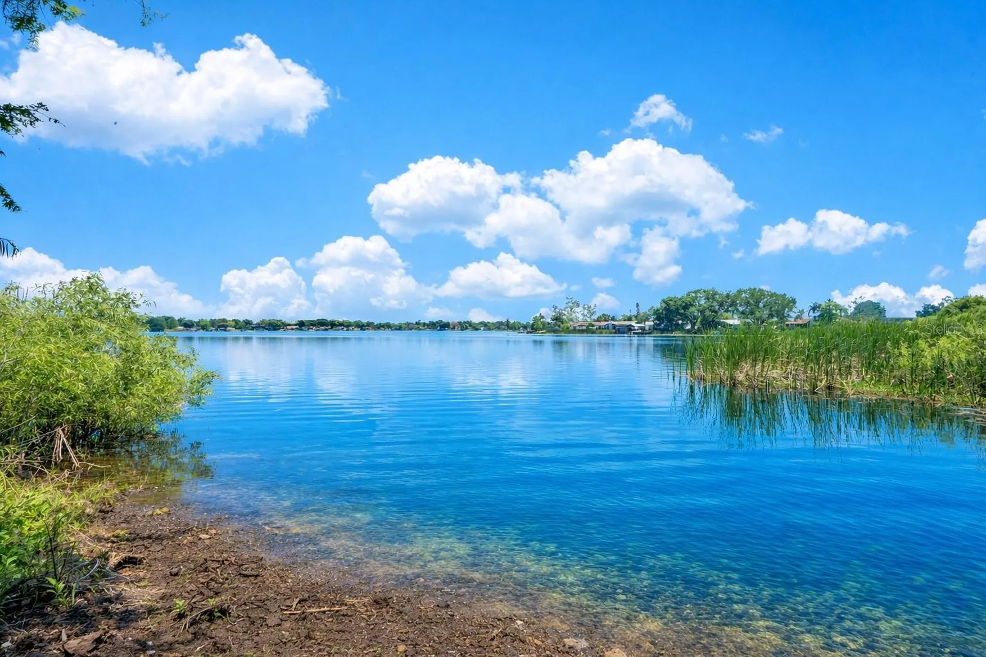 3501 S Westmoreland Drive Orlando FL 32805