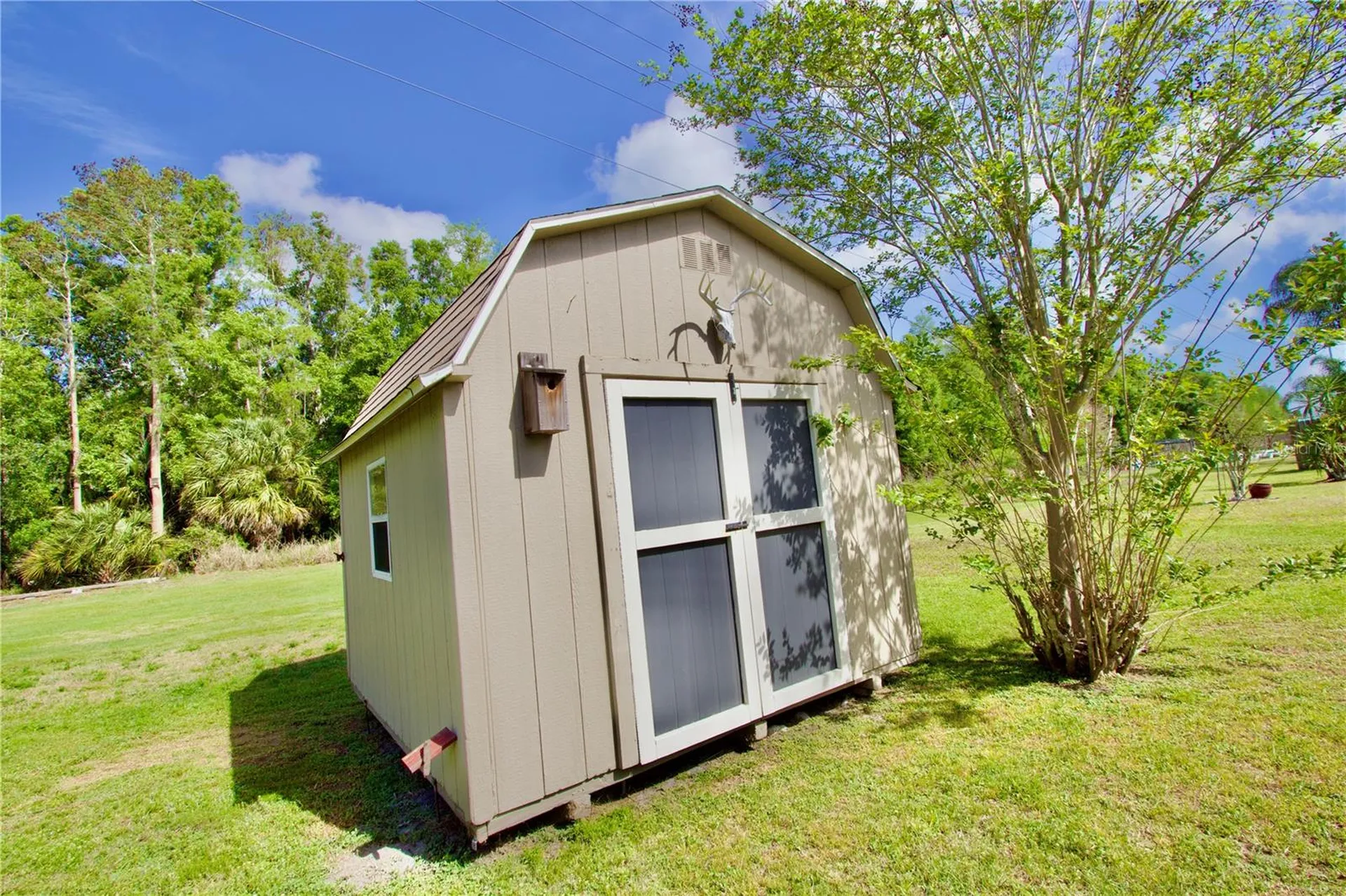 2211 Ground Squirrel Drive New Port Richey FL 34655