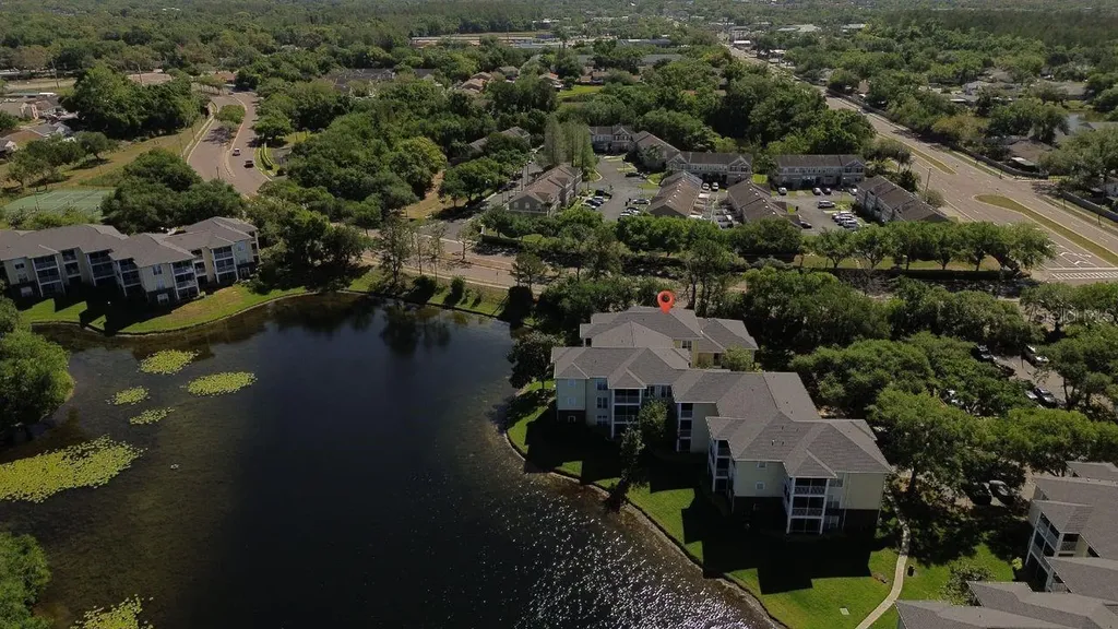 4107 Chatham Oak Court Tampa FL 33624