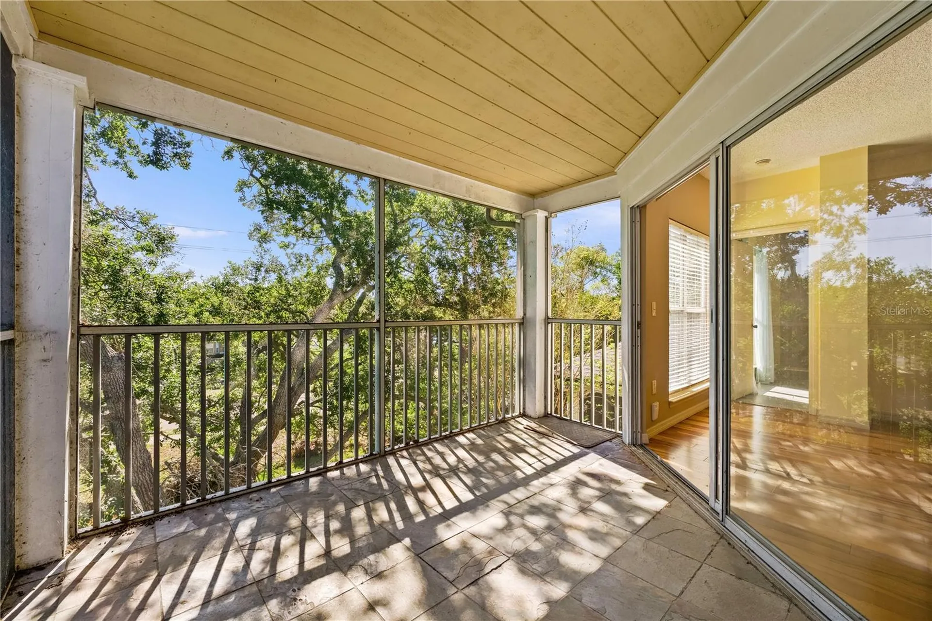 4107 Chatham Oak Court Tampa FL 33624