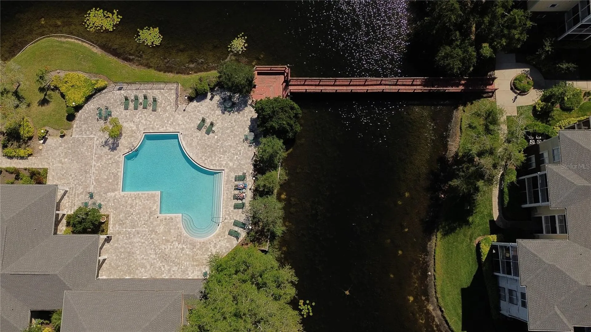 4107 Chatham Oak Court Tampa FL 33624