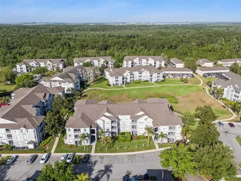 2302 Butterfly Palm Way Kissimmee FL 34747