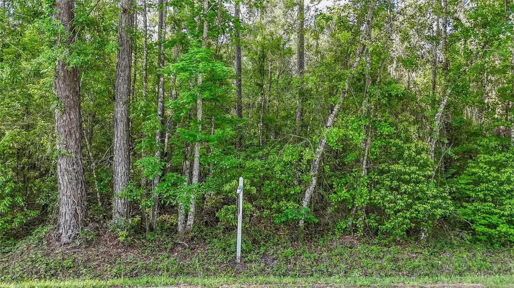 Vfw Road Brooksville FL 34601