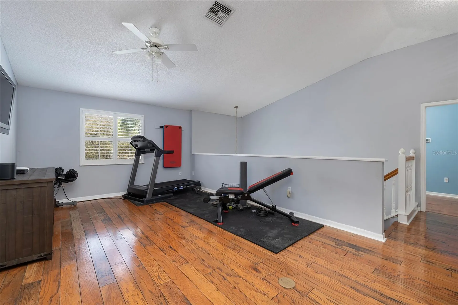 4859 Augusta Avenue Oldsmar FL 34677