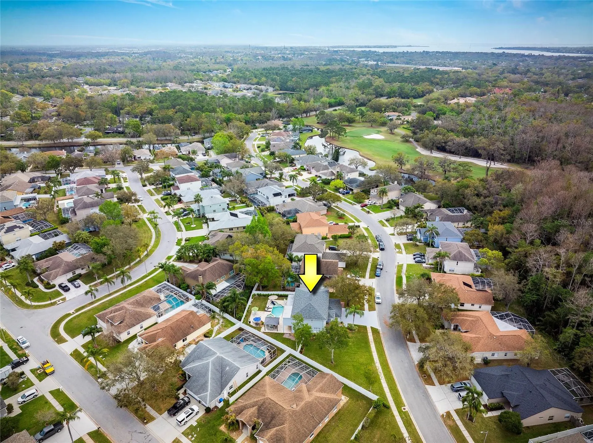 4859 Augusta Avenue Oldsmar FL 34677