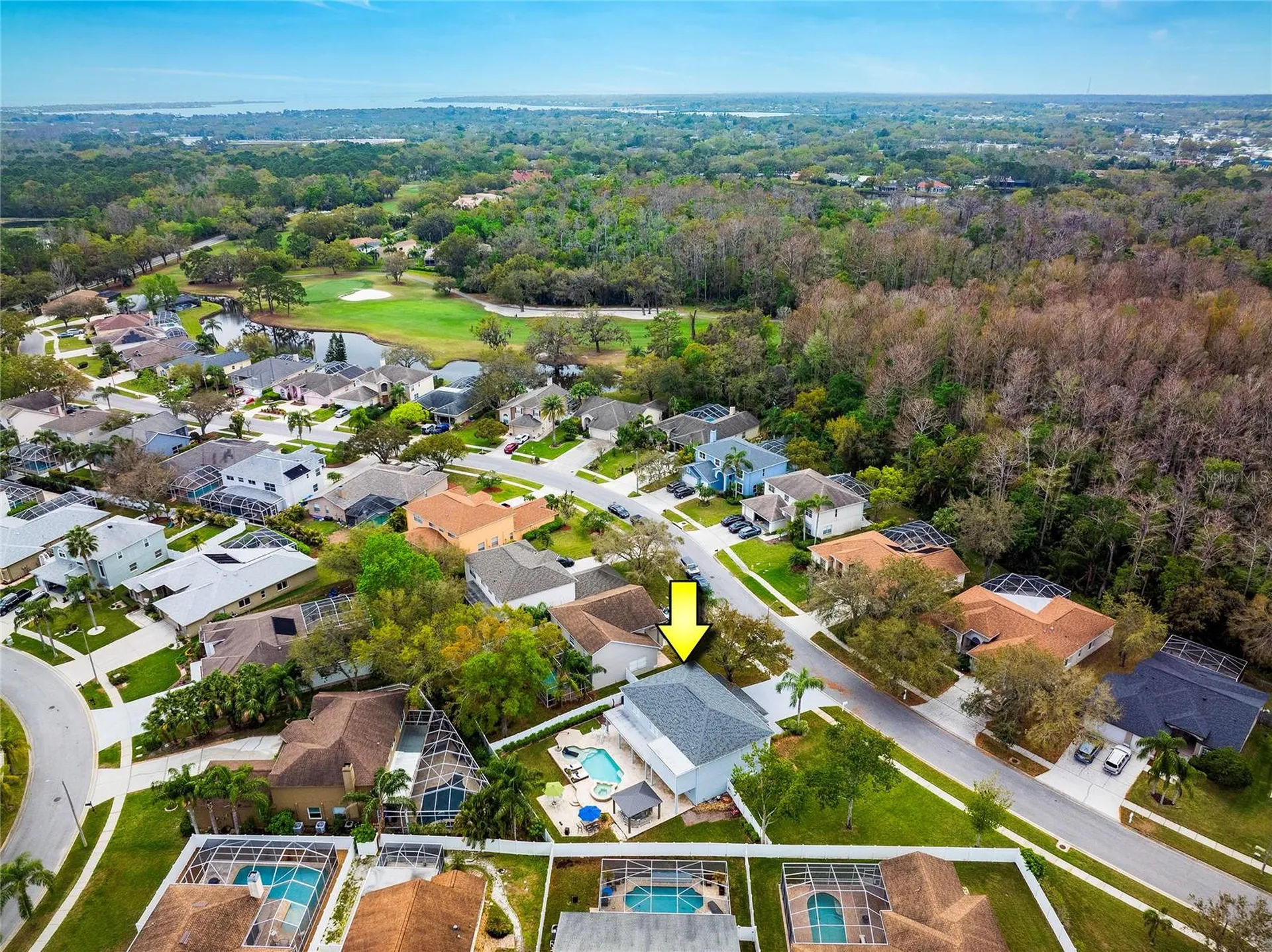 4859 Augusta Avenue Oldsmar FL 34677