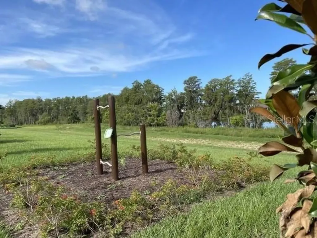 12118 Plumpton Drive Winter Garden FL 34787