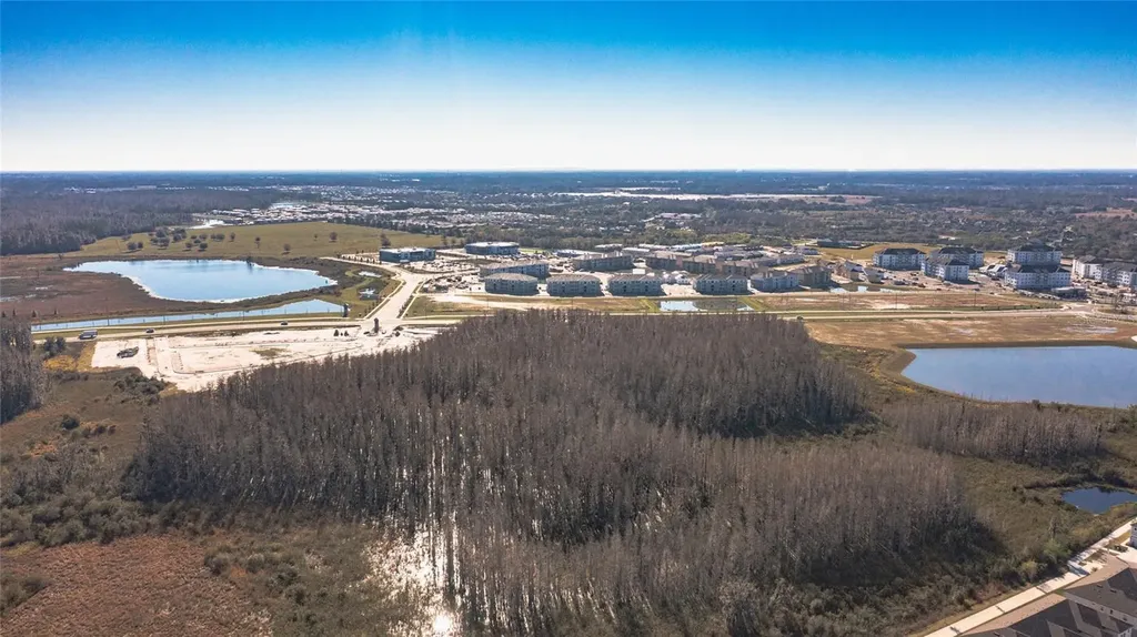 31974 Blue Passing Loop Wesley Chapel FL 33545
