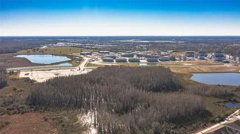31974 Blue Passing Loop Wesley Chapel FL 33545
