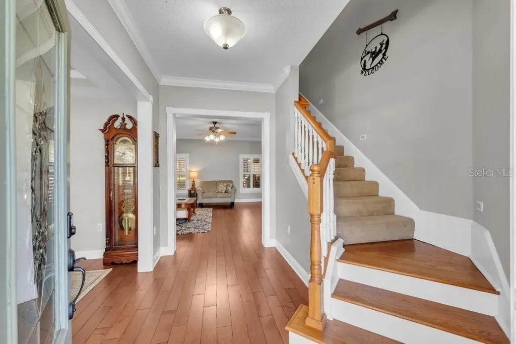 3916 Powerline Road Lithia FL 33547
