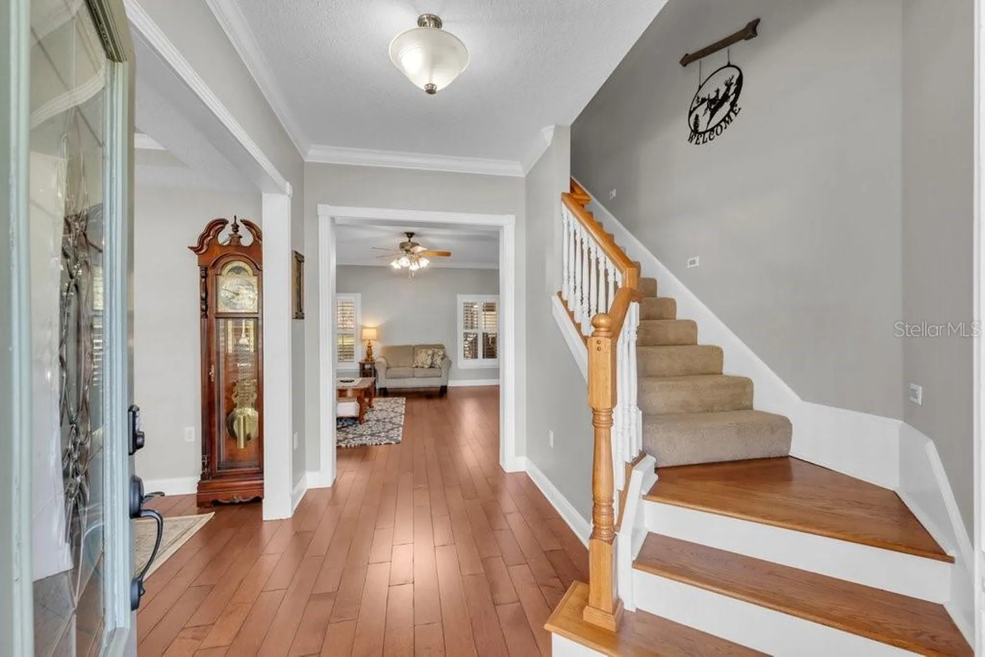 3916 Powerline Road Lithia FL 33547