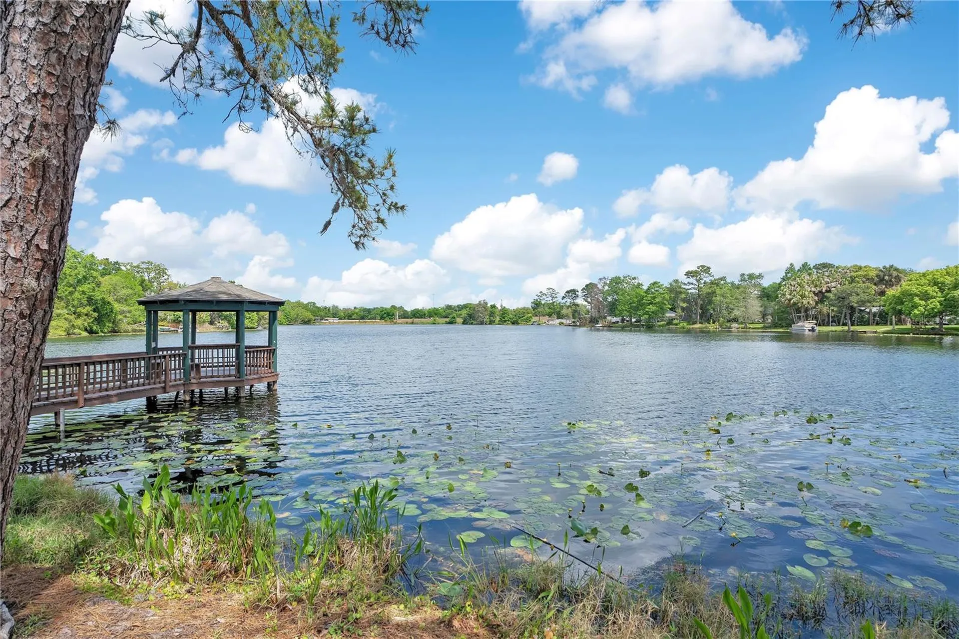 320 Remington Drive Oviedo FL 32765