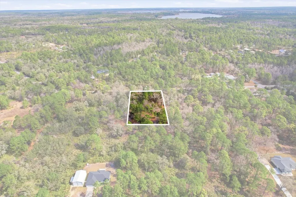 9568 N Dawnflower Avenue Crystal River FL 34428