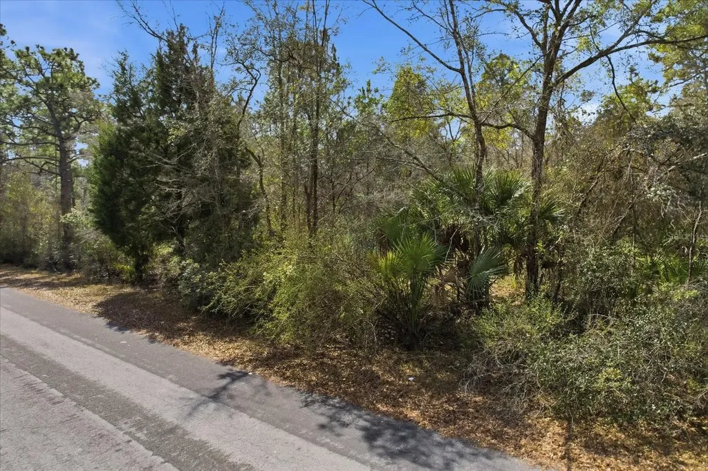 9568 N Dawnflower Avenue Crystal River FL 34428