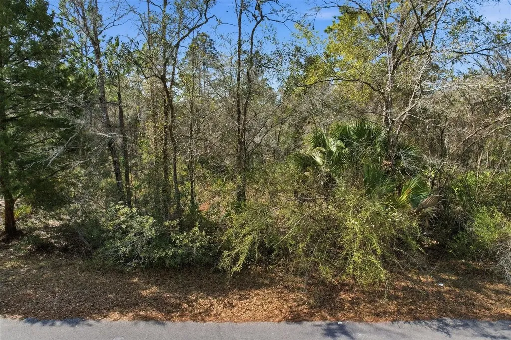 9568 N Dawnflower Avenue Crystal River FL 34428