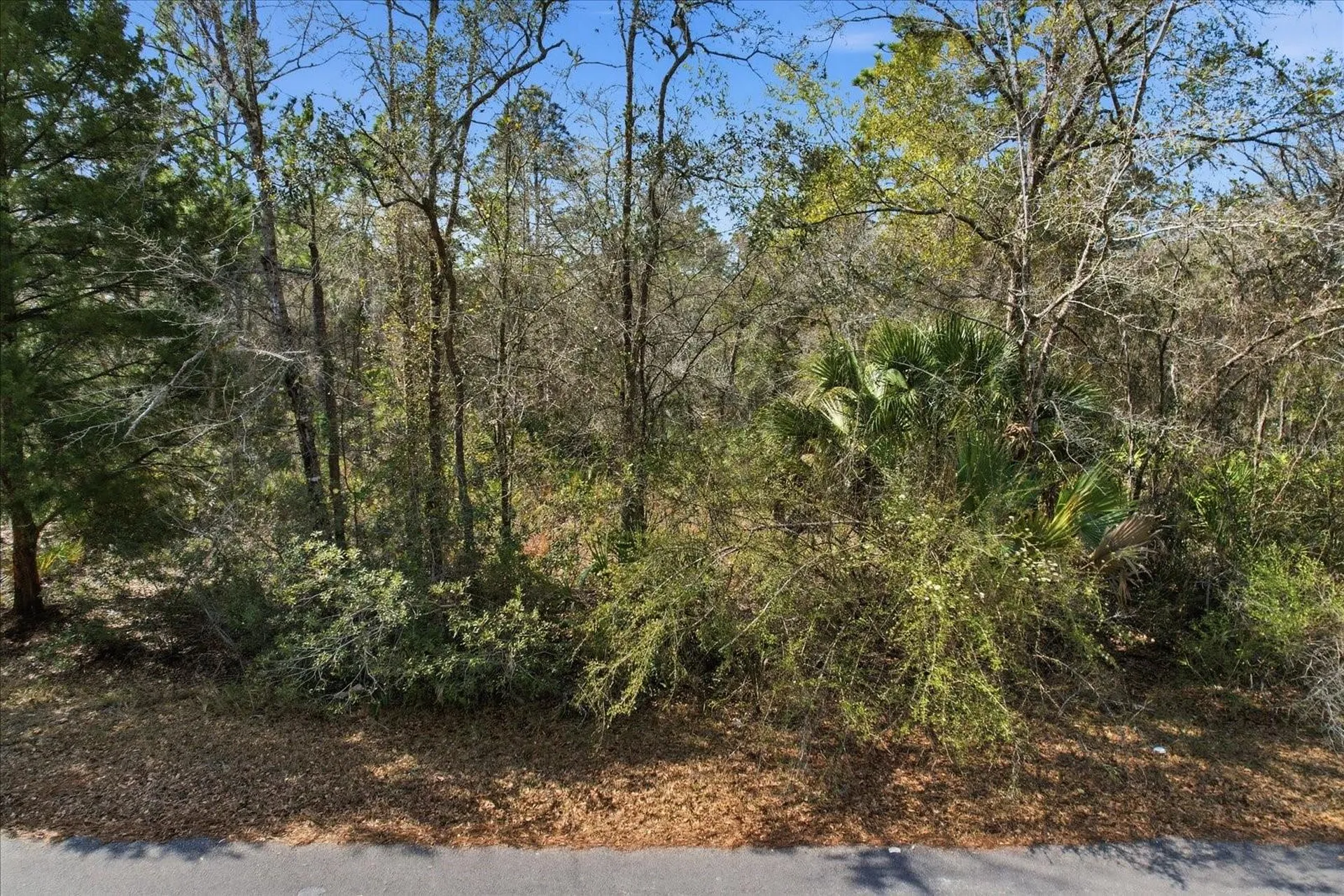 9568 N Dawnflower Avenue Crystal River FL 34428