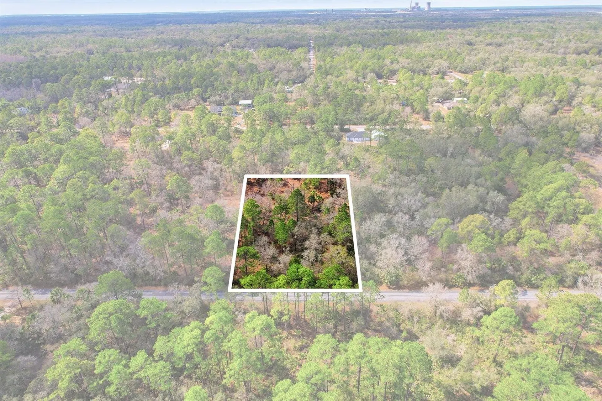 9568 N Dawnflower Avenue Crystal River FL 34428