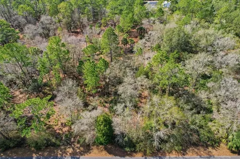9568 N Dawnflower Avenue Crystal River FL 34428