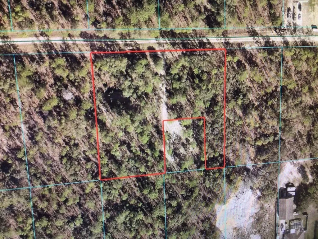0 SW 87 Street Dunnellon FL 34432