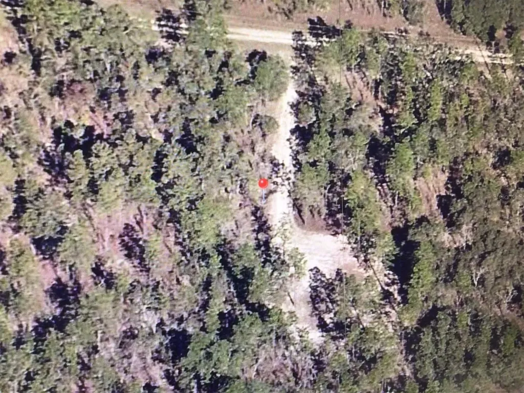 0 SW 87 Street Dunnellon FL 34432