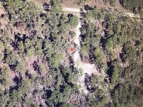 0 SW 87 Street Dunnellon FL 34432