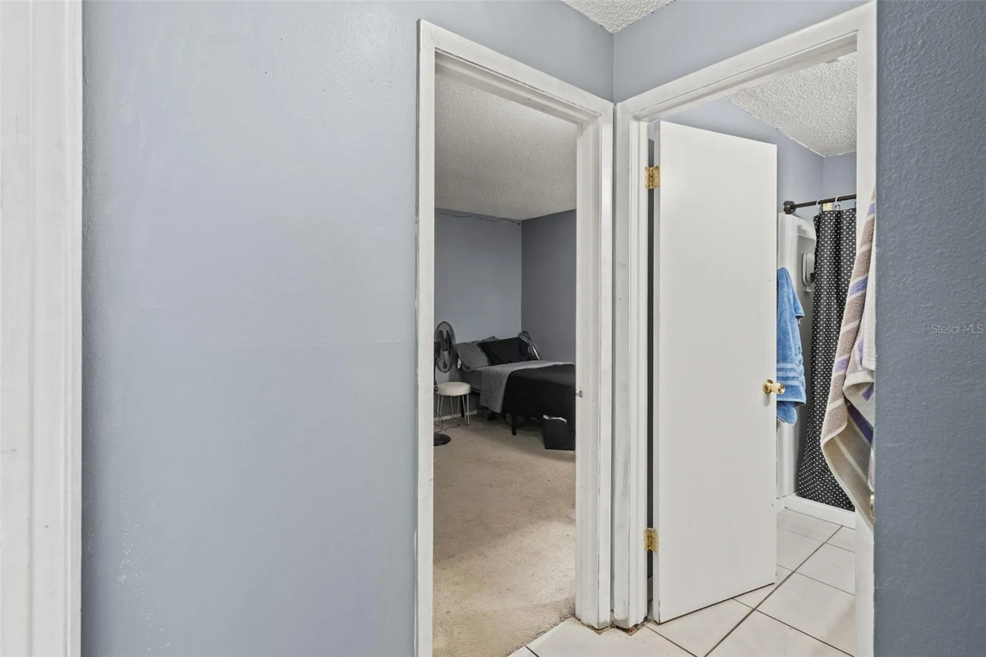 12989 Linden Drive Spring Hill FL 34609