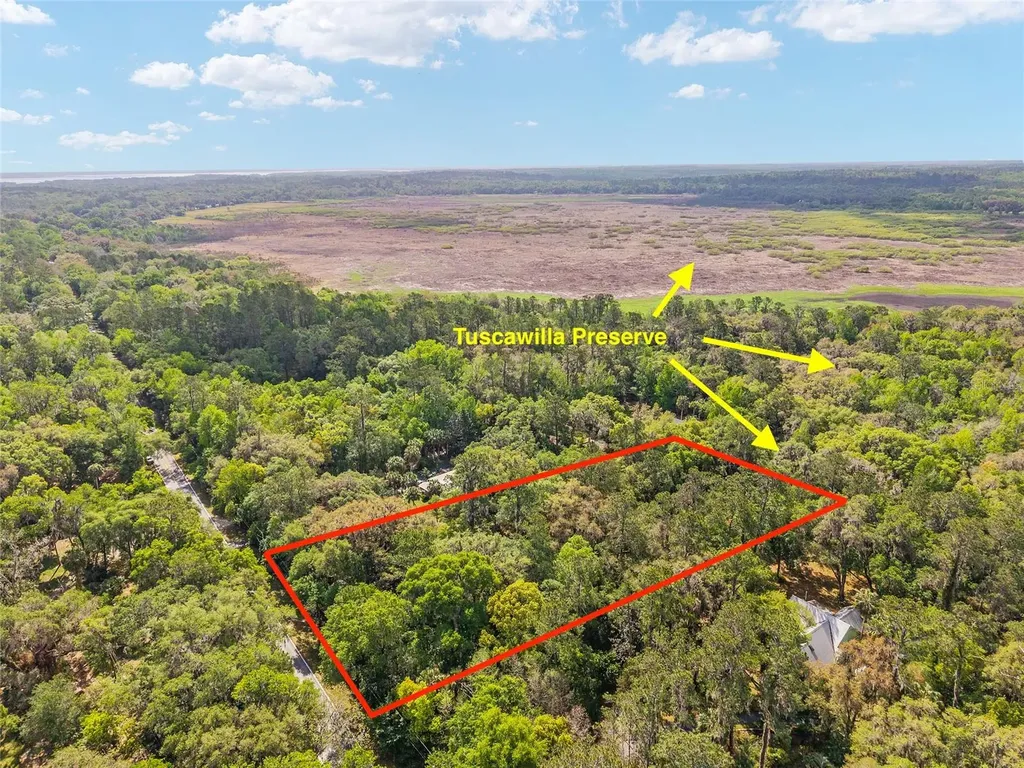 227 SE Tuscawilla Road Micanopy FL 32667