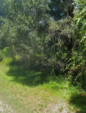 Bangar Lane North Port FL 34291