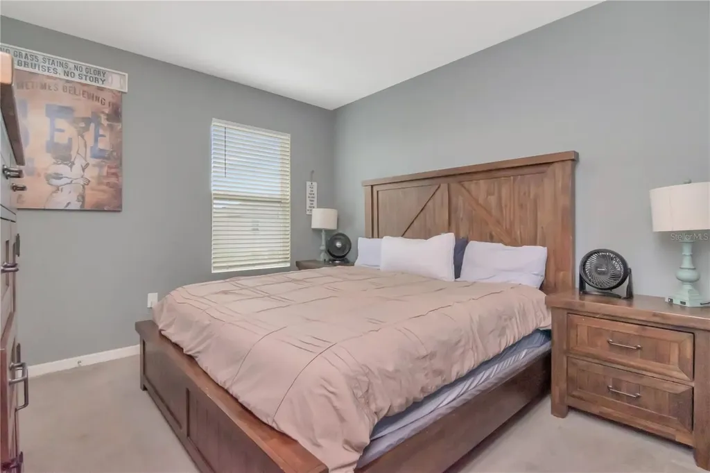 33678 Jasper Stone Drive Wesley Chapel FL 33543