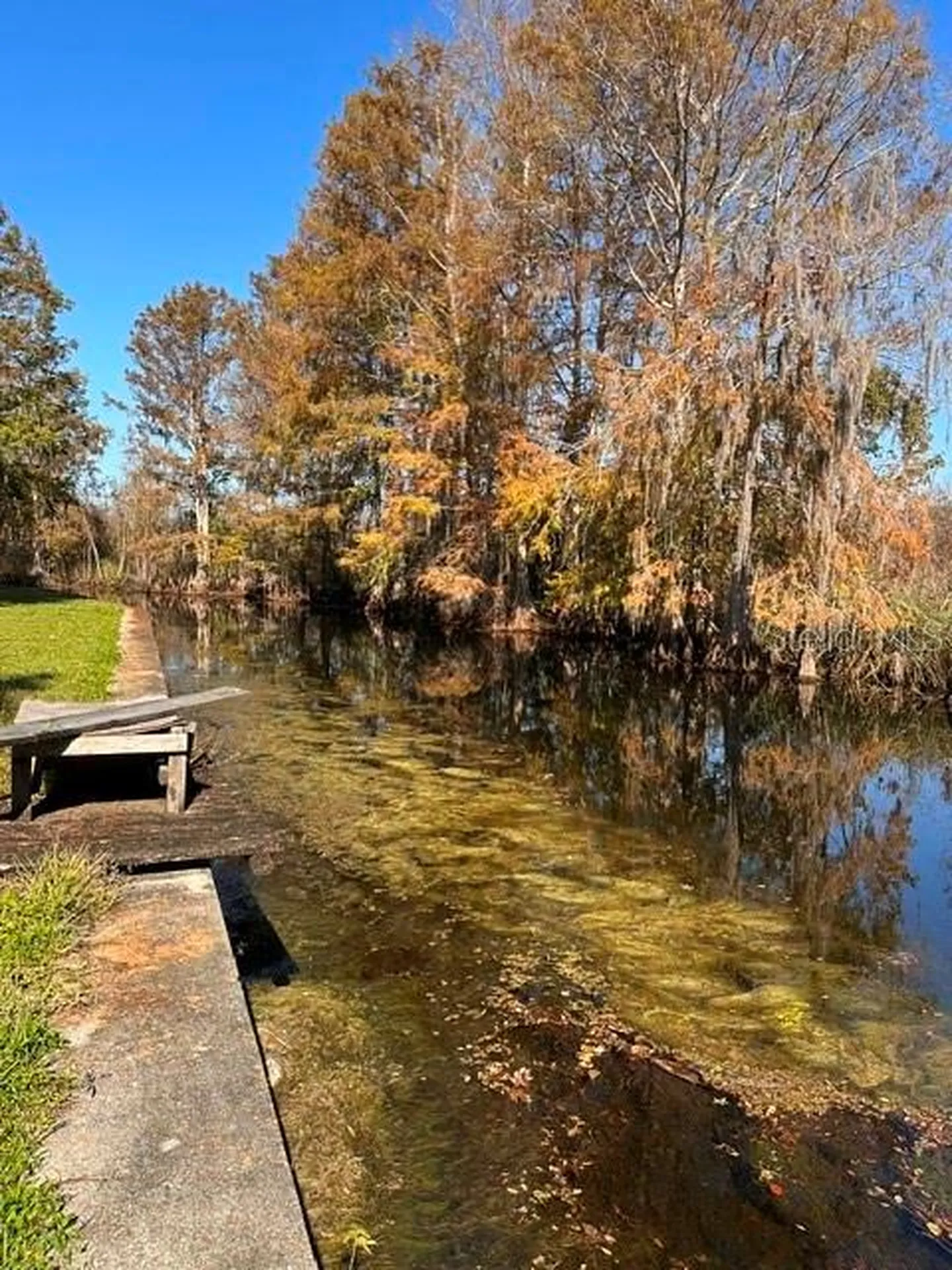 11671 E Salmon Drive Floral City FL 34436