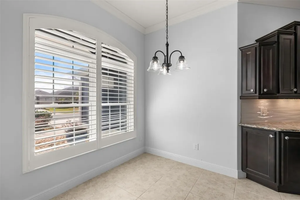 3984 Mcdowell Drive The Villages FL 32163