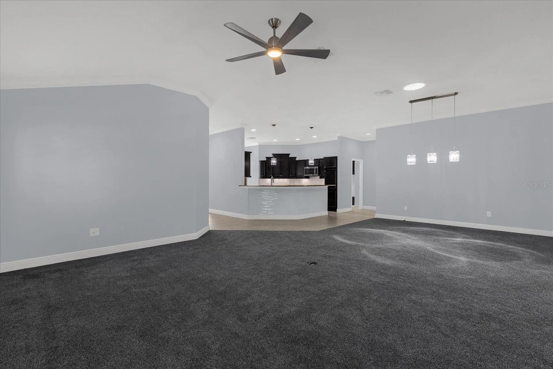 3984 Mcdowell Drive The Villages FL 32163
