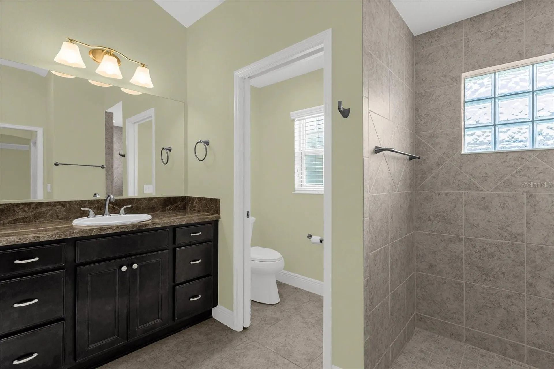 3984 Mcdowell Drive The Villages FL 32163
