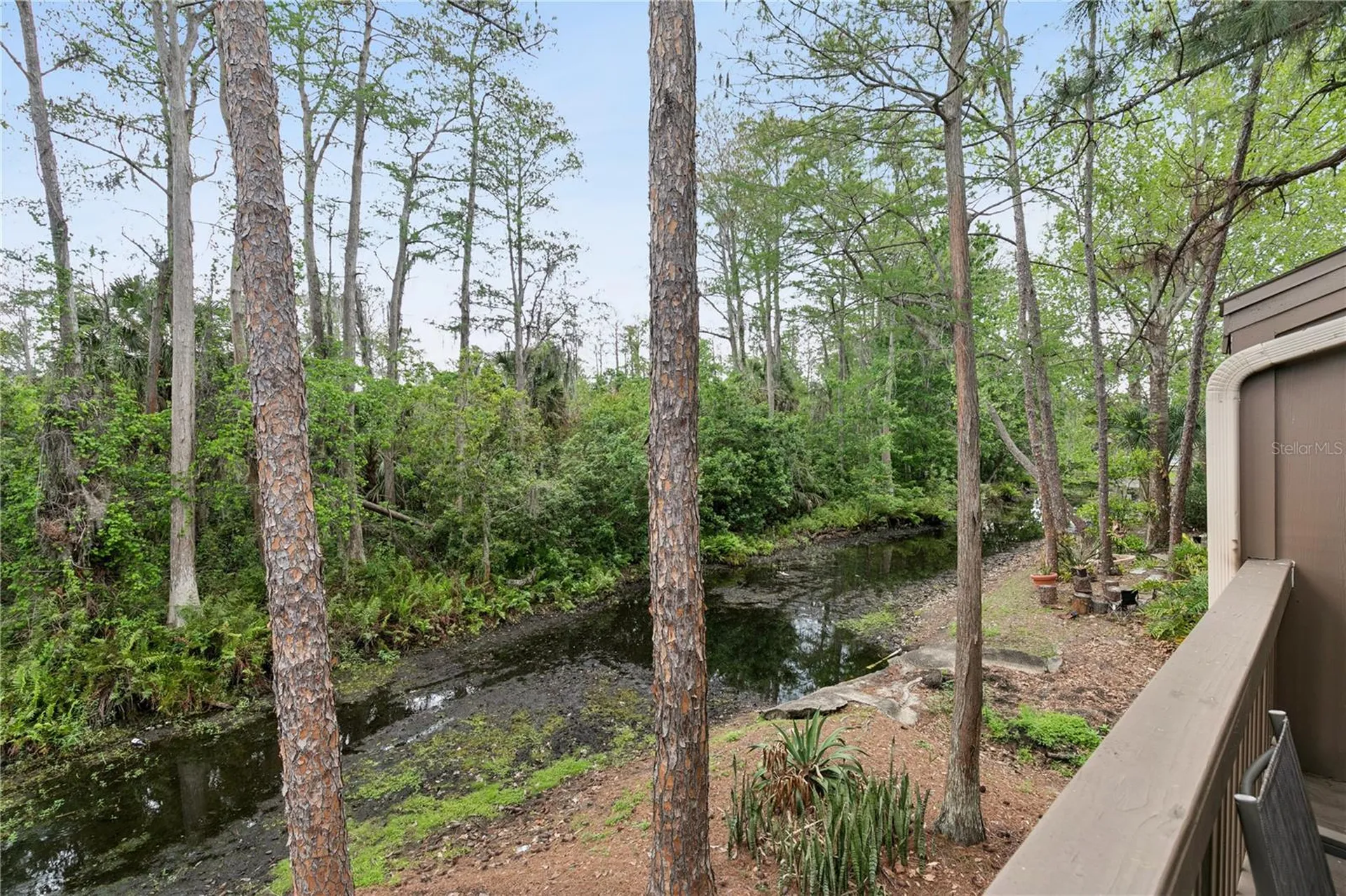 5321 Indian Creek Drive Orlando FL 32811