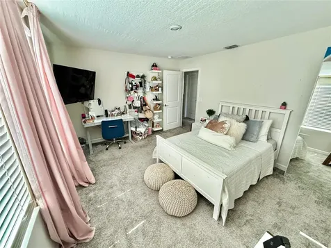 11456 Satire Street Orlando FL 32832