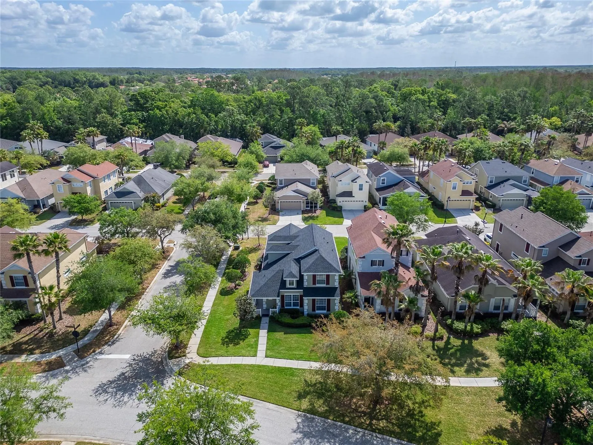 20053 Heritage Point Drive Tampa FL 33647