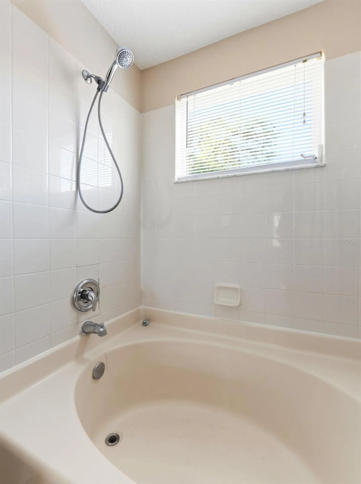 15123 Deer Meadow Drive Lutz FL 33559