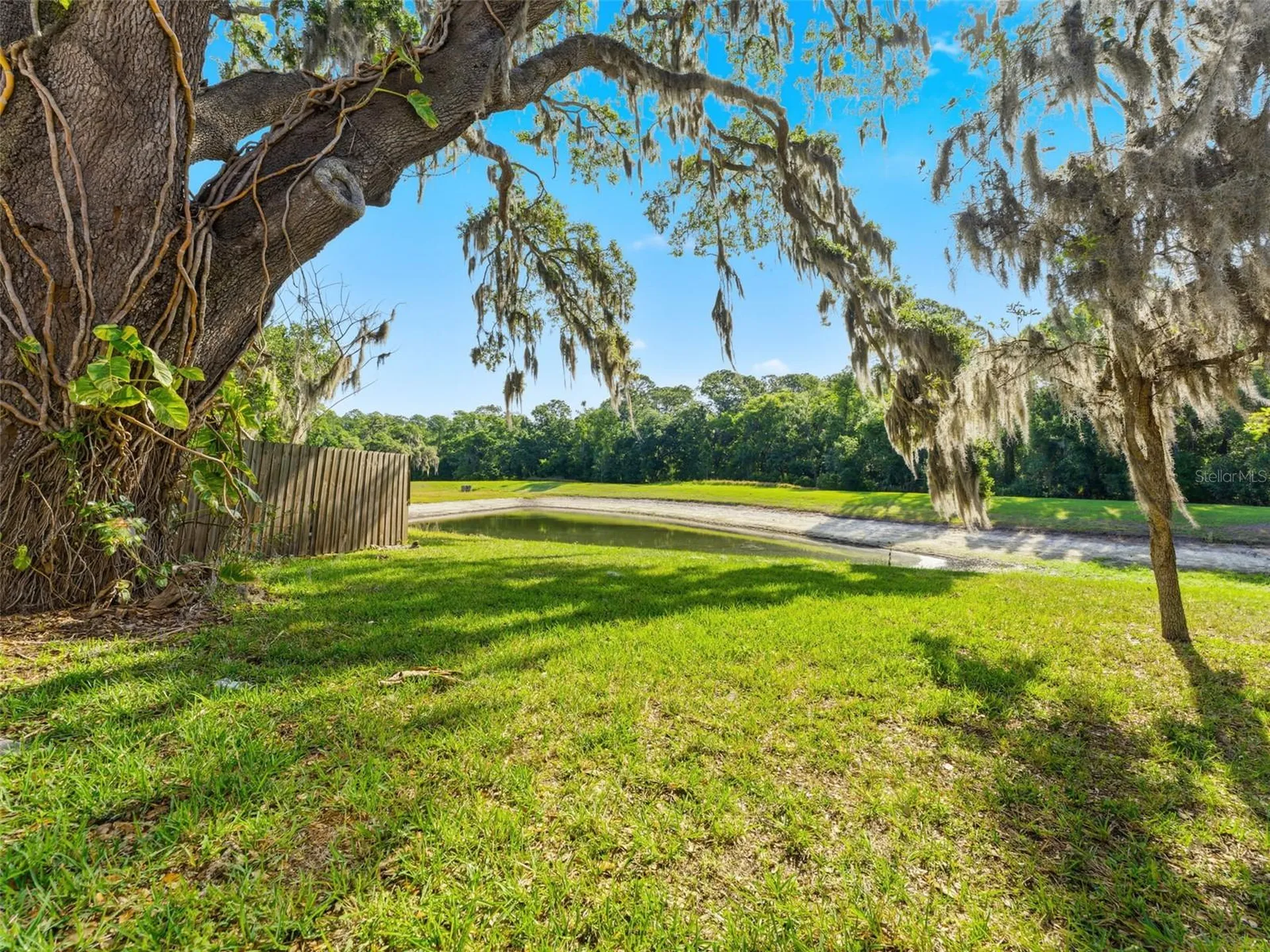 15123 Deer Meadow Drive Lutz FL 33559