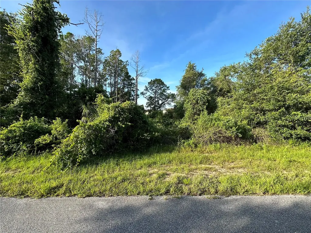 112 Warmouth Lane Poinciana FL 34759