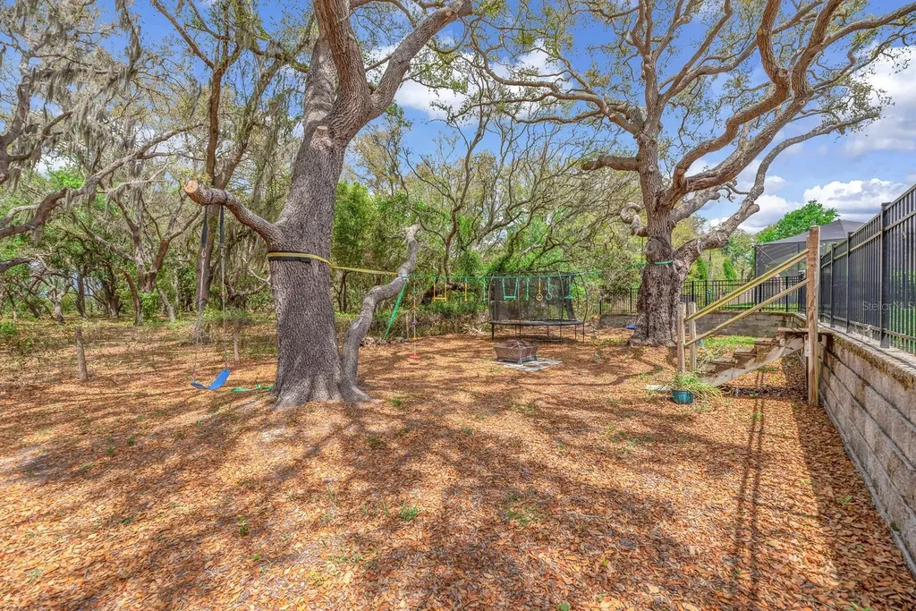 11404 Blue Woods Drive Riverview FL 33569