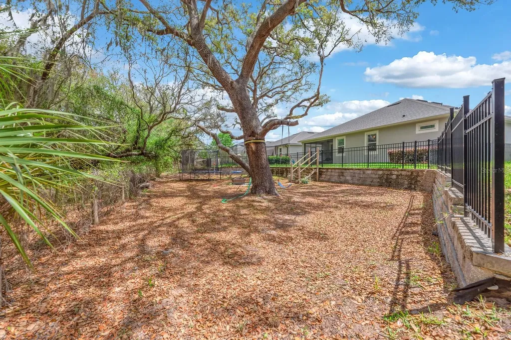 11404 Blue Woods Drive Riverview FL 33569