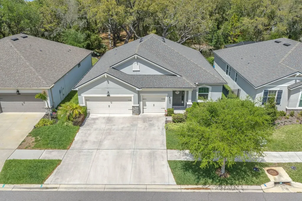 11404 Blue Woods Drive Riverview FL 33569