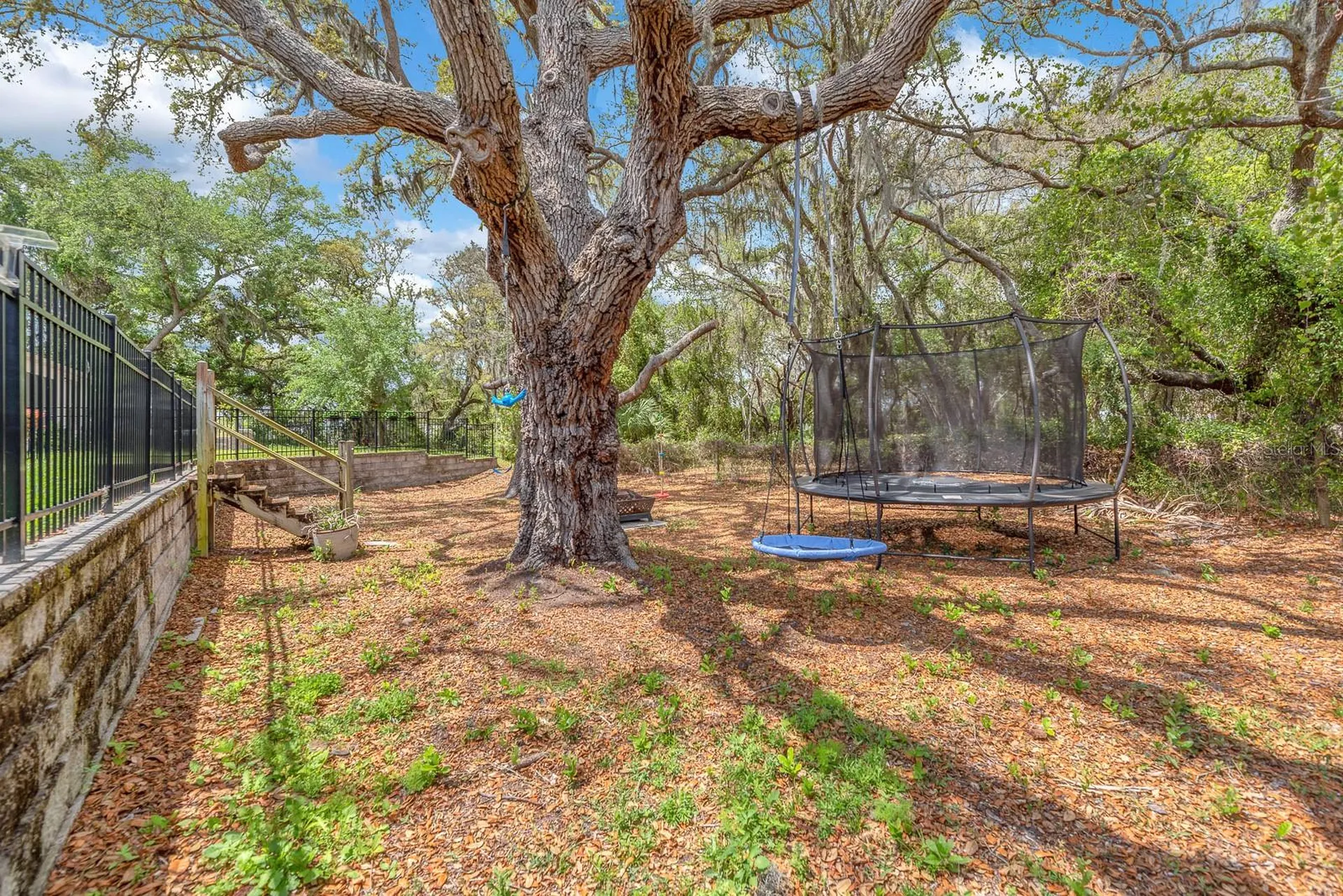 11404 Blue Woods Drive Riverview FL 33569