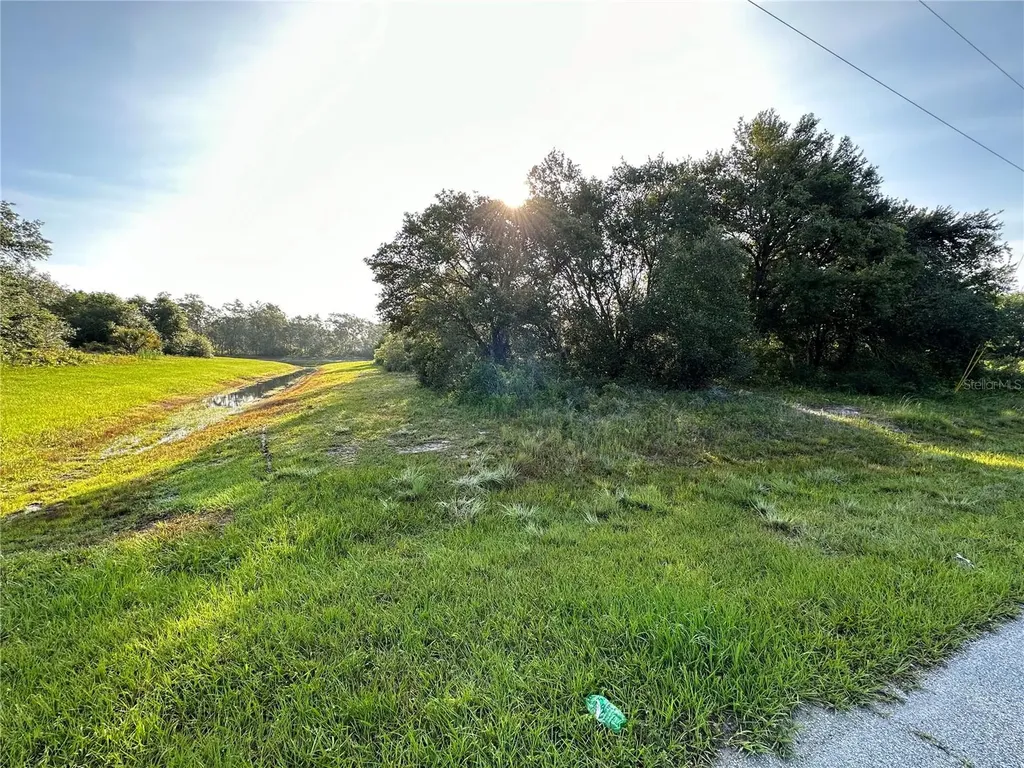 0 Mediterranean Drive Kissimmee FL 34759
