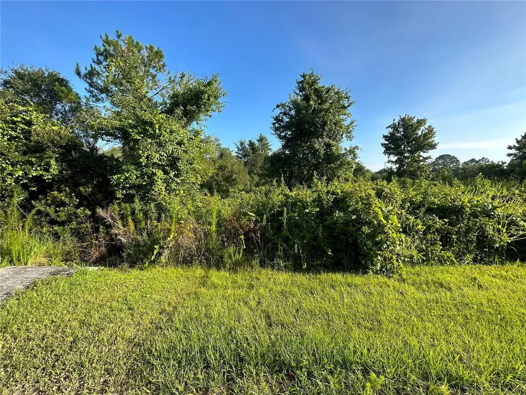 626 Mediterranean Court Poinciana FL 34759